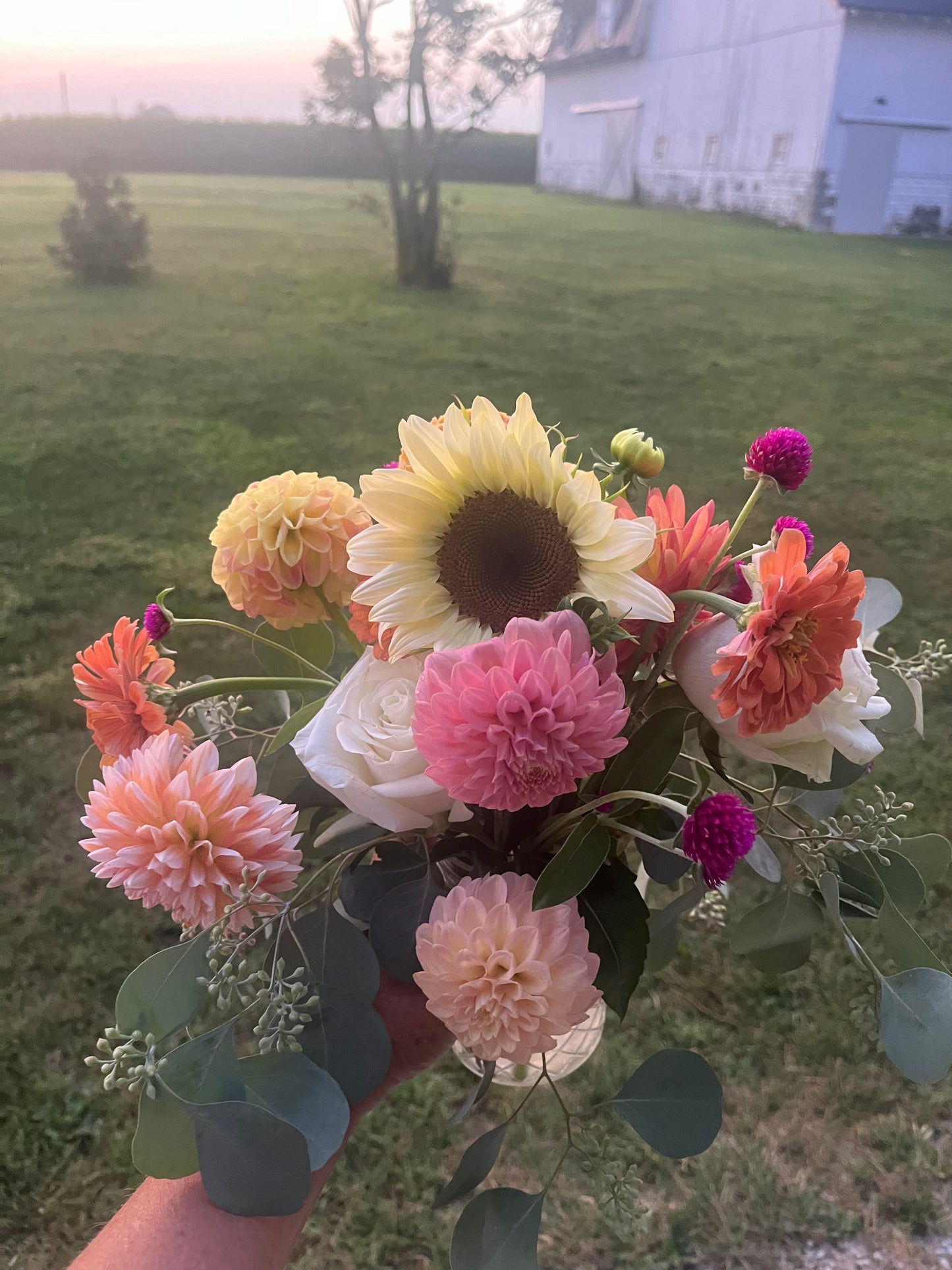 Dahlia Bouquet Subscription (6)