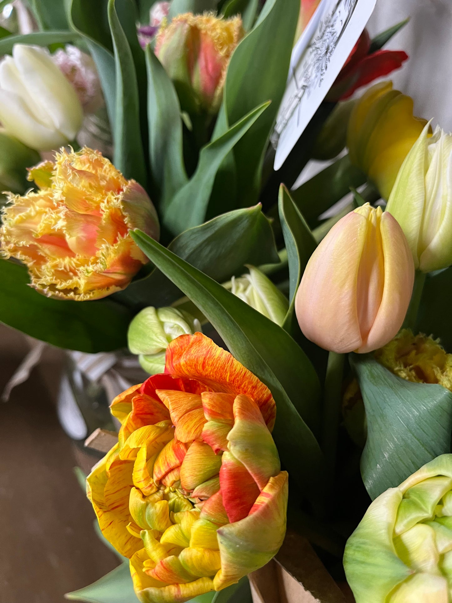 Tulip Bouquet Subscription (4)