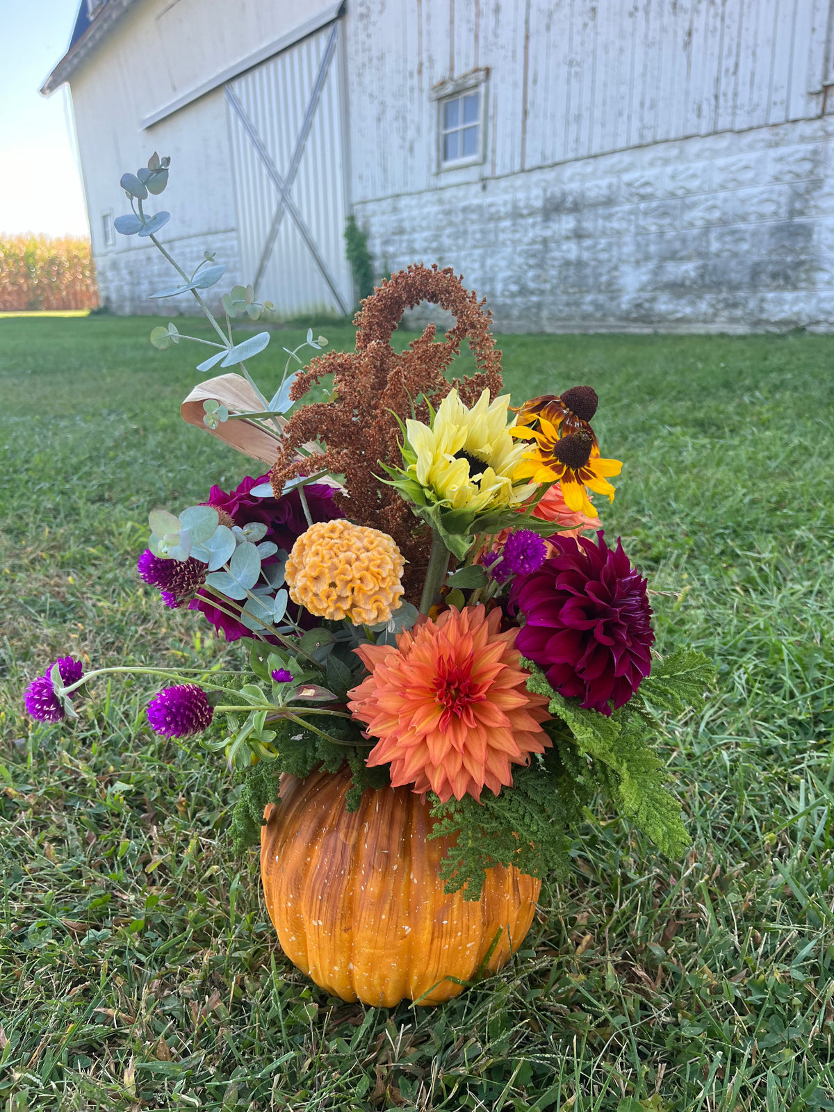 Pumpkin Workshop