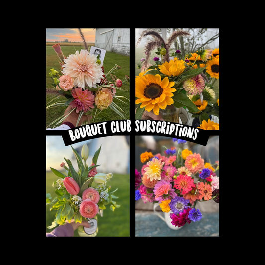 Yearly Bouquet Subscription (12 bouquets)